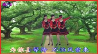 点击观看《阳光四季美梅广场舞 火一样的情歌 演唱：苏小花》