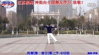 点击观看《神韵广场舞 动起来 舞队正背面演示 动作分解口令讲解教学视频 演唱：梁海洋》