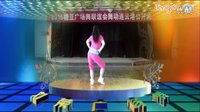 刘荣广场舞《普通Disco》正背面演示 动作分解口令讲解教学视频演唱：李宇春