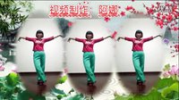 上虞红梅广场舞 新女人花 歌手：陈瑞