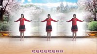 偶遇广场舞《祝福歌》编舞：华美舞动 歌手：乌兰图雅