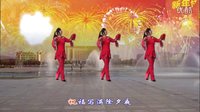 武安市东寺庄广场舞《拜年啦》编舞：华美舞动