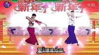 阳光四季美梅广场舞 花弦月 演唱:贺娜