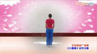 格格广场舞《小蜜蜂》2016舞蹈教学视频 附正反面 分解动作 演唱：刘子毅