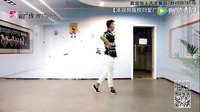 点击观看《饶子龙广场舞又名艺子龙广场舞 2016广场舞教学视频《一起舞蹈》正背面示范加教学分解视频》