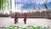 点击观看《2016江南雨广场舞教学视频《月桃花》中老年健身双人舞 教学分解 附正背面示范教学视频》