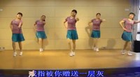 点击观看太湖一莲广场舞 这也不对那也不对 演唱唯莎 附正反面动作 口令分解教学舞蹈视频视频