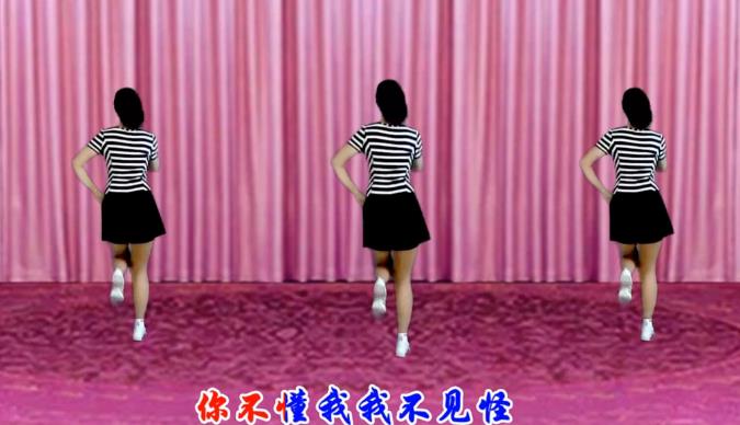 花家湖芳儿广场舞 你不懂我我不见怪 正背面演示 附动作口令分解 大城市广场舞视频大全 附高品质舞曲下载