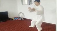 陈氏太极拳