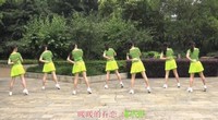 点击观看《花与影广场舞 暖暖的幸福 附正背面演示慢速口令教学》