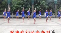 点击观看《贵州羽蝶广场舞 DJ启程 含教学和背面 经典校园民谣广场教学视频》