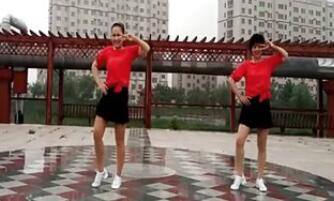 点击观看《梦想秀广场舞 点子舞 澎湃 编舞青儿 2016最新健身舞双人舞》