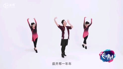 饶子龙广场古典舞教学 好听舞曲桃花瑶