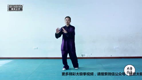 点击观看《太极拳基本功六封四闭怎么练？ 太极拳教学视频来了》