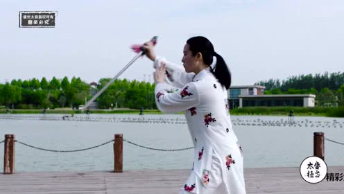 女性的500种美，这位女拳师的太极剑美的让人窒息！